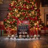 WWE 24th Countdown Advent Calendar 2025 featuring 24 days of official wrestling-themed surprises and superstar collectibles for fans.